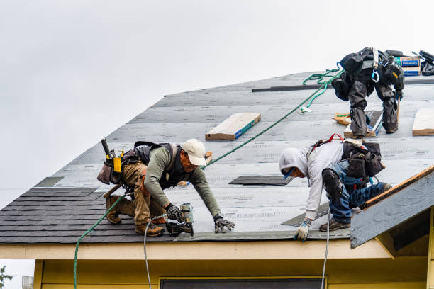 Professional Storm Damage Roof Repair technician working in Battle Lake, MN